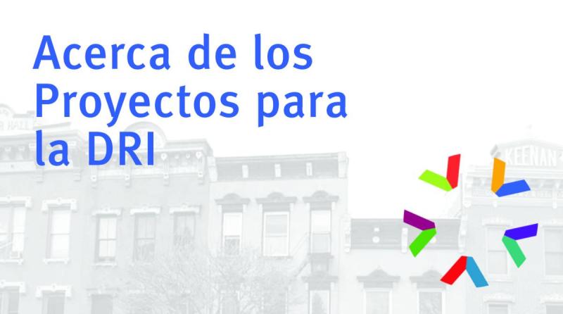About DRI Projects.Spanish