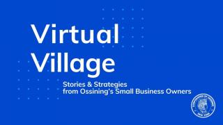 Virtual Village Logo Image