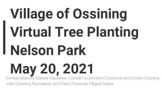 Tree planting info